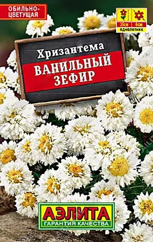 Семена Хризантема Ванильный зефир. Неприхотливый летник с махровыми и простыми цветками. Кустики компактные, изящные, с яркой ажурной листвой. Украсит цветники и балконные ящики. Подходит для срезки.<br>
 <br>
 <br>
 <br>
 <br>