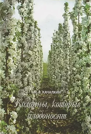 Качалкин М.В. "Колонны, которые плодоносят" Качалкин М.В. "Колонны, которые плодоносят"