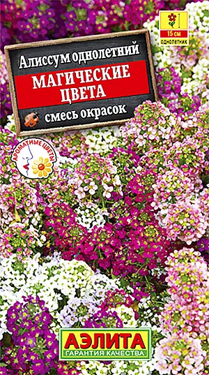 Семена Алиссум Магические цвета смесь окрасок.
Неприхотливый ковровый летник с великолепным медовым ароматом. Холодостойкий. Формирует сильно разветвленные кустики 15 см высотой. Мелкие цветочки разнообразной окраски собраны в многочисленные кисти. Прекрасный медонос, привлекающий в сад много пчел. Отличное клумбовое и бордюрное растение для окаймления садовых дорожек и цветников. Пригоден для контейнерного выращивания. 
Агротехника. Посев семян в открытый грунт весной, как только позволит почва. Для продления 
сезона декоративности отцветшие побеги обрезают или проводят повторные посевы 2-3 раза за сезон. Для раннего цветения посев на рассаду в марте, высадка рассады 
в конце апреля-начале мая. Растениям необходимы регулярные поливы, прополки, рыхления и подкормки.