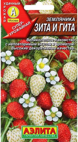 Семена Земляника (клубника) Зита и Гита, смесь