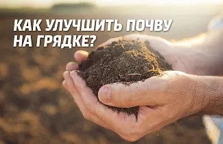 Как улучшить почву на грядке огорода и садовом участке