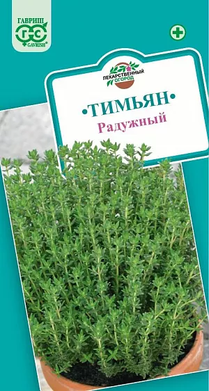 Семена Тимьян ползучий (чабрец) Радужный