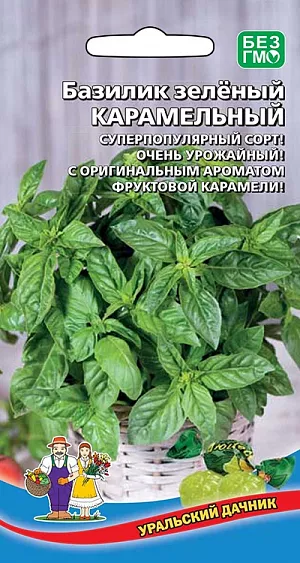 Семена Базилик Карамельный