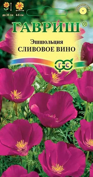 Семена Эшшольция Сливовое Вино.
Неприхотливое привлекательное растение из семейства Маковые высотой до 35 см, с серебристо-зелеными ажурными листьями и пурпурно-фиолетовыми цветками (4-5 см в диаметре) на тонких цветоносах. 
Цветение обильное, начинается в первой половине июля и продолжается до заморозков. Светолюбива, засухоустойчива, холодостойка. 
Предпочитает сухие солнечные места, не переносит избытка влаги. Выращивают прямым посевом в грунт в конце апреля - начале мая или в октябре. Всходы появляются через 10-14 дней, их прореживают на расстоянии 20 см.
Используется для посадки на клумбах, в рабатках, бордюрах и группах, а также в контейнеры и вазы.