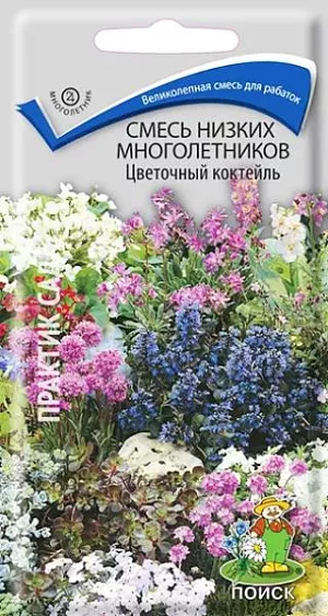 Семена Смесь низких многолетников Цветочный коктейль (ЦВ) ("М) 0,3гр. из каталога Смесь Великолепная смесь для рабатки, группы на газоне. Растения 20-30 см высотой, имеют разнообразную окраску и форму цветка. Цветут с июля до конца августа.
Агротехника. Смесь составлена из неприхотливых растений, которые предпочитают солнечные или полутенистые места. Посев производят в начале мая в открытый грунт непосредственно на место или на разводочную гряду. Семена слегка присыпают землёй. Всходы появляются на 15-30 день. Расстояние между взрослыми растениями 15-20 см. Семена соответствуют требованиям международных стандартов и ГОСТу РФ 12420-81.