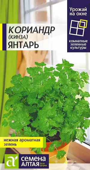 Семена Зелень Кориандр Янтарь