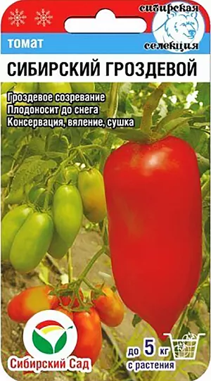 Семена Томат Сибирский гроздевой