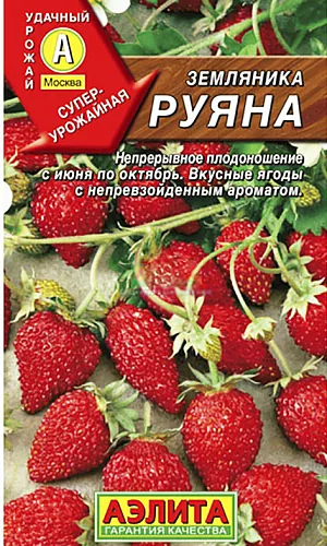 Семена Земляника (клубника) альпийская Руяна