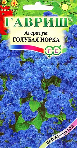 Семена Агератум Голубая норка.
Декоративное растение из семейства Астровые, культивируемое как однолетник, высотой 20-25 см. 
Цветение обильное с июня до заморозков. Душистые мелкие темно-голубые цветки собраны в плотные пушистые соцветия 5-8 см в диаметре.
Достаточно засухоустойчив, светолюбив, но может расти при небольшом затенении, предпочитает легкие, умеренно плодородные почвы.
Теплолюбив, заморозков не переносит. Выращивают рассадным способом. 
Посев проводят в конце марта-начале апреля, всходы появляются через 8-12 дней. 
Рассаду высаживают в конце мая-начале июня, после окончания весенних заморозков. 
Используют для посадки на клумбах, в рабатках, миксбордерах, а также в балконные ящики.