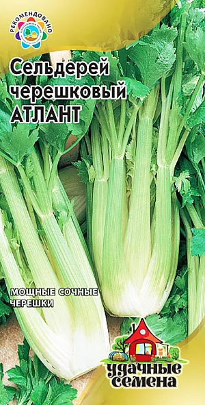 Семена Сельдерей черешковый Атлант