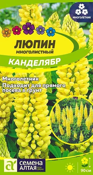 Семена Люпин Канделябр<br>
 <br>
 Нарядный эффектноцветущий травянистый многолетник, называемый «королем сада». Растение образует несколько цветоносов высотой до 90 см, которые в нижней части украшены красивыми пальчато-сложными листьями на длинных черешках, сверху несут длинные (до 40 см) плотные кистевидные соцветия, собранные из ярко-желтых цветков. Станет прекрасным украшением для неприглядной территории, при этом благотворно воздействует на почвенный состав. Используется как акцентное растение, является ярким компонентом миксбордеров, клумб, рабаток.<br>