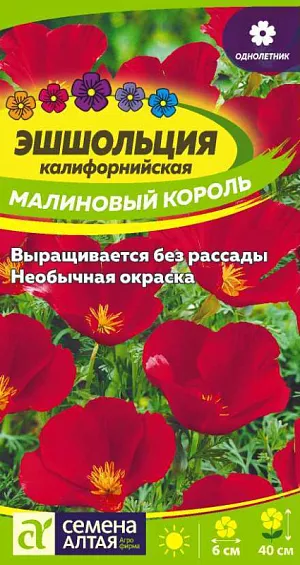Эшшольция Малиновый король

Один из самых очаровательных и неприхотливых однолетников. Высаживается большими группами и образует ажурное переплетение из многочисленных побегов с тонко-рассеченными сизоватыми листьями и очаровательными малиновыми чашечками цветков диаметром 5-6 см. Высота растения достигает 40 см. Растение для занятых людей, бывающих в саду нерегулярно. Исключительно неприхотливо, прекрасно цветёт на любых почвах и при любых капризах погоды. Своим цветением создаст радостное настроение на всё лето. Придаст легкость и изящность цветникам, клумбам, каменистым горкам, мавританским газонам.
Растение светолюбивое, холодо- и засухоустойчивое, к почвам нетребовательно, но наибольшей декоративности достигает на легких дренированных почвах. Отзывчиво на полив и внесение удобрений (кроме свежих органических). Посевы проводят в конце апреля – начале мая в открытый грунт сразу на постоянное место. Глубина заделки семян 0,5-1 см. При температуре почвы +15-18°С всходы появляются на 8-10 день. Сеянцы прореживают, выдерживая интервал между растениями 10-12 см. Пересадку растение не переносит. Цветение продолжительное, с июня до осенних заморозков.