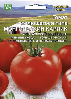 Семена Томат Монгольский Карлик - стелящегося типа