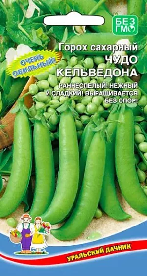 Семена Горох Чудо Кельведона