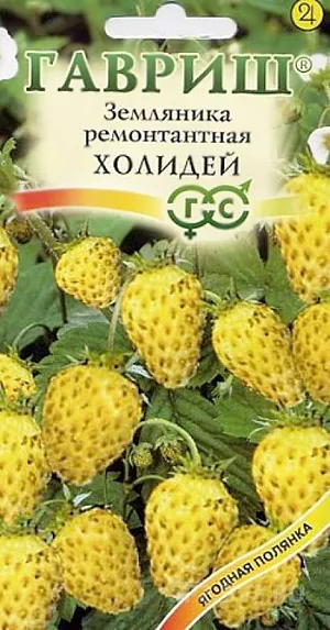 Семена Земляника (клубника) Холидей ремонтантная