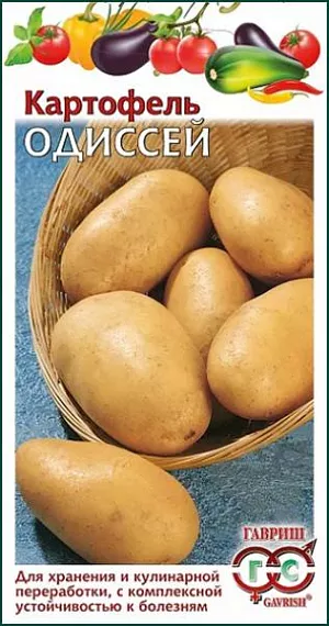 Семена Картофель Одиссей