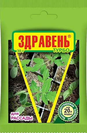 Здравень ВХ рассада