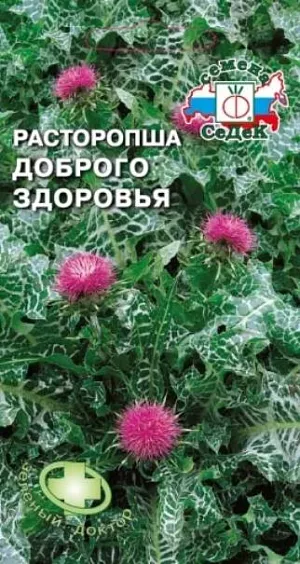 Расторопша пятнистая Доброго здоровья
