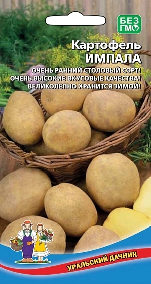 Семена Картофель Импала