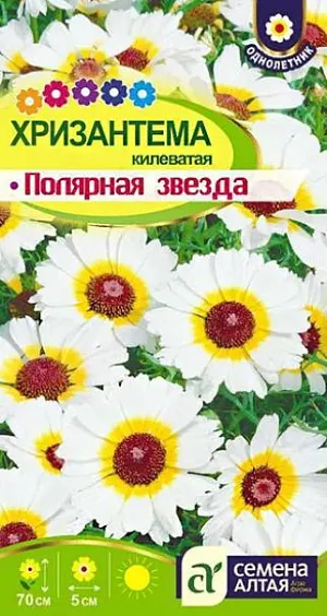 Семена Хризантема килеватая "Полярная Звезда".<br>
Эффектный неприхотливый однолетник. Побеги прямостоячие, хорошо разветвленные, высотой 60-70 см, с множеством соцветий диаметром 5 см. Соцветия немахровые, с бледно-кремовыми язычковыми цветками и коричневым диском. Цветение с конца июня по сентябрь. Отличается быстрым ростом. Используют для оформления цветников, на срезку. Светолюбивая и холодостойкая, засухоустойчивая. Нуждается в дренированных, известкованных не сырых почвах без свежей органики. Семена высевают на рассаду в апреле или в грунт в начале мая. Сеянцы не пикируют, а лишь пересаживают на расстоянии 30 см.