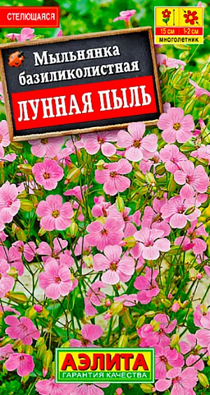 Мыльнянка Лунная пыль базиликолистная из каталога Разные Семена Мыльнянка Лунная пыль базиликолистная. Неприхотливое, пышноцветущее стелющееся растение. Образует живописные подушки до 15 см в высоту. Цветки мелкие, ароматные, собраны в многочисленные соцветия-зонтики. Растения зимостойкие, солнцелюбивые, засухоустойчивые, не выносят сырых мест. <br>
<br>
Цветут очень обильно с июня до августа. Используются для выращивания в групповых и одиночных посадках в рабатках, цветниках, бордюрах, альпийских горках и каменистых садиках.<br>
Посев семян в открытый грунт весной или под зиму, в конце октября. Всходы прореживают. Можно вырастить рассаду– посев в марте, высадка закаленной рассады в открытый грунт в конце мая.<br>