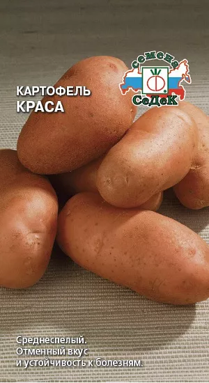 Семена Картофель Краса