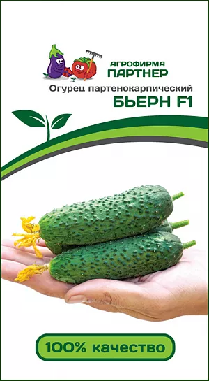 Семена Огурец Бьерн F1