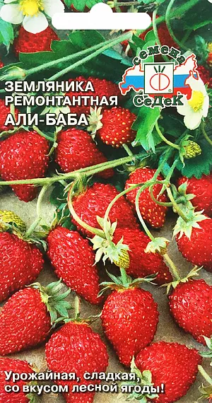 Семена Земляника (клубника) Али-баба ремонтантная