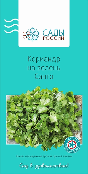 Кориандр на зелень Санто