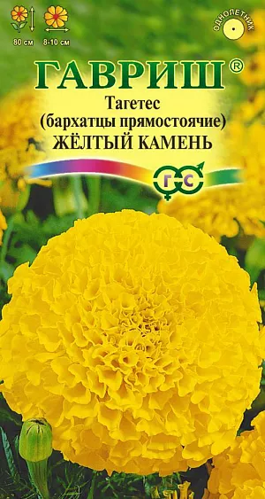 Семена Бархатцы Жёлтый камень прямостоячие. <br>
Однолетнее растение семейства Сложноцветные. Высотой до 80 см, сильно ветвистое от основания, боковые побеги отклоненные. Соцветия — корзинки до 15 см в диаметре, густомахровые, шаровидные, золотисто-желтой окраски. В открытый грунт можно высевать в конце мая — начале июня. Всходы появляются на 5-10 день. На рассаду сеют в конце марта – начале апреля. Цветение начнется в июне. Бархатцы, высаженные рядом с огородными культурами уменьшают их поражение грибными заболеваниями, защищают от некоторых видов нематод. Бархатцы используют во всех видах цветников. Они хорошо растут в горшках, вазонах, балконных ящиках, в сочетании с примулами и цинерариями. Осенью цветущие растения можно перенести в комнату, где они прекрасно растут в течение всей зимы, а весной, высаженные в открытый грунт, образуют большой цветущий куст.