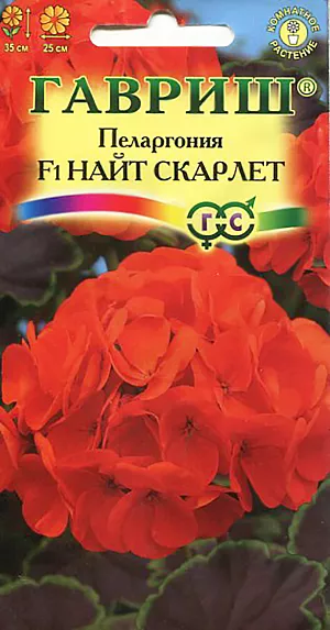Семена Пеларгония Найт Скарлет F1.
Популярное многолетнее комнатное растение из семейства Гераниевые. В пору обильного цветения герань придает окнам праздничный вид. Формирует объемный и компактный кустик высотой 35 см, диаметром 25 см. Этот сорт уникален благодаря декоративным коричневым листьям с тонкой зеленой каймой по краю. Особенно эффектно коричневолистные сорта выглядят в белой цветочной таре. Цветки красного цвета образуют крупные, шаровидные соцветия. При тщательном уходе может цвести весь год. Пеларгония светолюбива, неприхотлива в культуре, легко переносит недостаток влаги. 