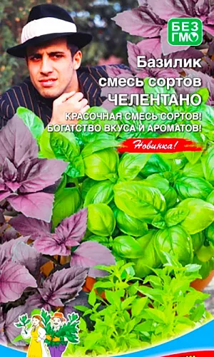 Семена Базилик Челентано смесь сортов