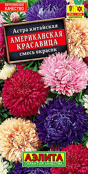 Семена Астра Американская красавица китайская, смесь. Смесь ранних, обильноцветущих астр с крупными густомахровыми соцветиями. Кусты широкораскидистые, прочные, высотой 60-70 см. На растении формируется 17-20 шт. крупных соцветий (? 9-11 см) на длинных цветоносах. Цветение продолжительное. Астры данного сортотипа считаются одними из лучших для срезки. Букеты из них стоят в вазе до трех недель. Растения используются также для оформления цветников.<br>
 <br>
  Астра – культура холодостойкая. Предпочитает солнечные участки с плодородными, дренированными, некислыми почвами. Недопустимо внесение навоза. Астру нельзя выращивать постоянно на одном месте, необходим перерыв в 4-5 лет. Возможен посев семян в открытый грунт ранней весной или под зиму.<br>