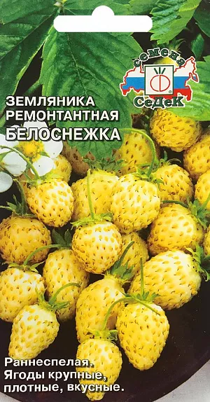Семена Земляника (клубника) Белоснежка ремонтантная