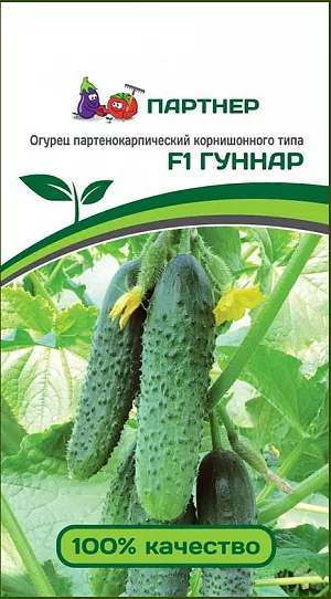 Семена Огурец Гуннар F1