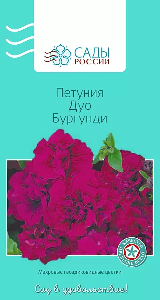 Петуния Дуо Бургунди 10шт Петуния Дуо Бургунди 10шт