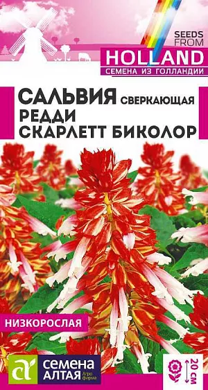 Сальвия Редди Скарлет биколор сверкающая из каталога Сальвия Декоративный однолетник, широко используемый в озеленении. Один из самых популярных сортов. Ценится за возможность создания ярких цветочных акцентов. Кустики компактные, высотой 25-30 см, густооблиственные. Насыщенно-красные цветки собраны в длинные (15-20 см) плотные кистевидные соцветия, возвышающиеся над ярко-зеленой листвой. В цветниках великолепно смотрится в окружении растений с серебристо-серыми листьями (цинерарий, полыни). Идеально подходит для оформления клумб и рабаток, парадных входов и балконов, посадки группами на газонах. Растение тепло-, свето- и влаголюбивое. Предпочитает солнечные участки и легкий песчаный водопроницаемый грунт, богатый известью и гумусом. <br>
<br>
Посев на рассаду в ящики проводят с середины февраля до начала марта. Высевают семена во влажный субстрат поверхностно, посевы увлажняют из распылителя и накрывают прозрачной пленкой. Температура содержания – около 25 ºС. Всходы появятся через 15-30 дней, их пикируют дважды. Первый раз при появлении двух-трех настоящих листьев сеянцы пересаживают в другой ящик с интервалом 5 см. Второй раз – через три недели после первой пикировки в отдельные горшочки диаметром 10-12 см. С развитием четвертого настоящего листа ростки прищипывают для стимуляции кущения. В открытый грунт рассаду высаживают в начале июня, выдерживая посадочный интервал 20-25 см. Цветет обильно с июля до осенних заморозков.