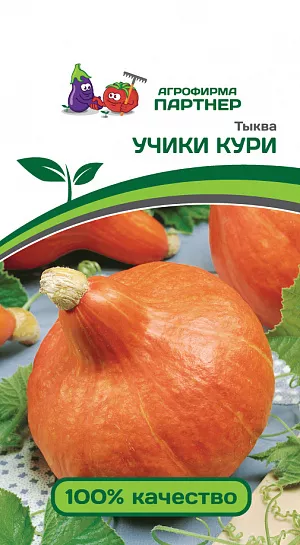 Семена Тыква Учики Кури Семена Тыква Учики Кури