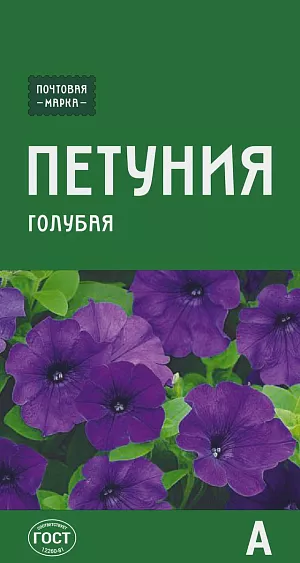 Семена Петуния многоцветковая голубая

Очень холодостойкая, выносливая петуния, устойчивая к ветру, длительным ливням и засухе. Характеризуется невероятно большим количеством одновременно распускающихся цветков, выравненным габитусом и неприхотливостью в уходе. Потрясающе эффектно выглядит как в одиночных посадках, так и в композициях с белыми, желтыми или светло-голубыми петуниями. Беспрерывно цветет до поздней осени.