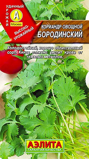 Семена Кориандр овощной Бородинский