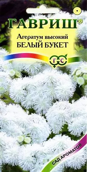 Семена Агератум Белый букет высокий.
Этот сорт агератума великолепен в срезке. Его душистые соцветия источают приятный парфюмерный аромат. Относится к семейству Астровые, культивируется как однолетник. Растение прямостоячее, ветвистое, высотой до 60 см. Цветение обильное с июня до заморозков. Душистые мелкие белые цветки собраны в плотные пушистые соцветия 5-8 см в диаметре. Достаточно засухоустойчивое, светолюбивое, но может расти при небольшом затенении, предпочитает легкие, умеренно плодородные почвы. Теплолюбив, заморозков не переносит. Выращивают рассадным способом. Посев проводят в конце марта-начале апреля, всходы появляются через 8-12 дней. Высадка рассады в конце мая-начале июня, после окончания весенних заморозков, по схеме 20 х 20 см. Используют для посадки на клумбах, в рабатках.