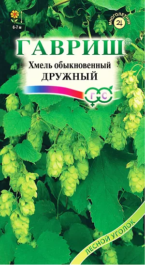 Хмель Дружный обыкновенный