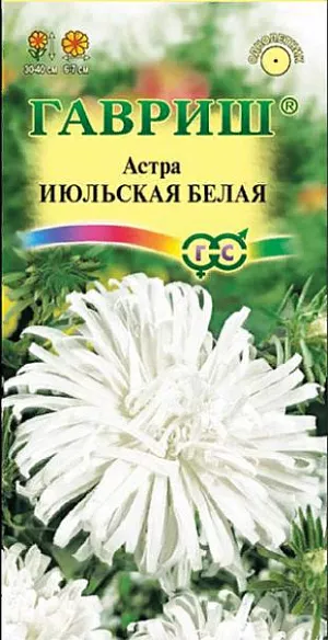 Семена Астра Июльская белая<br>
 <br>
 Сортотип Июльские. Растение высотой 30-40 см, компактное, сильноветвистое, стебли крепкие. Соцветия полусферические, махровые, чисто-белой окраски, 6-7 см в диаметре. Язычковые цветки длинные ленточные, в центре образуют хохолок, слегка закрывают диск трубчатых цветков. Для выращивания подходят хорошо освещенные участки с плодородной суглинистой или супесчаной почвой. Астры обладают высокой холодостойкостью – хорошо переносят заморозки до -3-4°C. Выращивают, чаще всего, рассадным способом. Используются для получения срезки и оформления участка.<br>