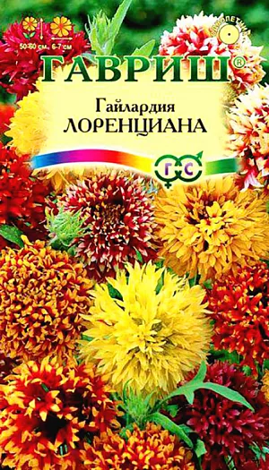 Гайлардия Лоренциана из каталога Гайлардия Семена Гайлардия Лоренциана.
Растение раскидистое, высотой 50-60 см, опушенное мягкими волосками. Соцветия одиночные, на длинных тонких цветоносах, махровые, шаровидные, диаметром 6-7 см. Язычковые цветки ланцетовидные, зубчатые, желтые, переходящие в основании в розово - или красно-пурпуровый цвет. Трубчатые цветки красно-коричневые. Цветет обильно с конца июня по октябрь. Дает самосев. Светолюбива, предпочитает легкие, сухие почвы. Растения хорошо отзываются на умеренный полив. Для продления цветения рекомендуется провести за сезон три подкормки. Великолепно подходит для клумб, бордюров и на срезку.