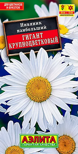 Нивяник крупноцветковый Гигант из каталога Нивяник Семена Нивяник Гигант.
Популярный зимостойкий многолетник с крупными соцветиями-корзинками ø 11-13 см. Стебли прямые, прочные, высотой до 80 см. Цветение обильное, продолжительное – с середины лета до заморозков. Растения неприхотливые, предпочитают солнечные места с плодородными, умеренно влажными почвами. Хорошо смотрятся в групповых посадках в цветниках, на фоне кустарников, в высоких бордюрах вдоль дорожек. Сорт дает отличный материал для срезки, соцветия стоят в воде 9-10 дней. Агротехника. Посев семян непосредственно в открытый грунт под зиму, в конце октября, или ранней весной. Возможен посев на рассаду в марте, с высадкой рассады на постоянное место в конце мая. Необходимы регулярные поливы, прополки, рыхления и подкормки. Взрослые кусты каждые 2 года рекомендуется омолаживать делением.