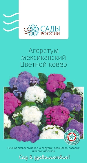 Агератум Мексиканский цветной ковёр


Агератум А. Хоустона, или агератум мексиканский, известный как долгоцветка. Цветки душистые. Соцветия плотные и пушистые, в диаметре 6–8 см. Не выносит самых легких заморозков. Всходы появляются через 10–14 дней после посева при поддержании температуры 20–22 ºС. Пикируют в горшочки через 3–4 недели после появления всходов.
