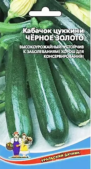 Семена Кабачок Черное золото