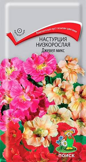 Настурция низкорослая Джевел микс из каталога Настурция Семена Настурция Джевел микс низкорослая.
Изобилие махровых и полумахровых цветов! Растение компактное, красивой правильной формы цветы в огромном количестве распускаются поверх листьев. Высота растения около 30 см. Цветы крупные, полумахровые и махровые, золотые, лимонные, оранжевые, красные с задорно торчащими вверх шпорцами. Цветет обильно с июля по октябрь. Прекрасно подходит для контейнерной культуры, балконных ящиков, великолепно смотрится на фоне газона и в групповых посадках.
Агротехника. Растение предпочитает солнечные или слегка затененные места, умеренно плодородные и влажные почвы. Семена высевают в мае непосредственно на место, в лунки по три семени. Глубина заделки семян 2 см. При температуре почвы +25 °C всходы появляются на 14-20 день.
Семена соответствуют требованиям международных стандартов и ГОСТу РФ 12260-81