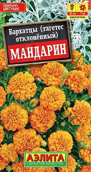 Семена Бархатцы Мандарин отклоненные.<br>
 <br>
 Низкорослый сорт с крупными, махровыми соцветиями диаметром 5-7 см. Кусты компактные, высотой до 30 см., хорошо ветвятся и сохраняют декоративный вид в течение всего сезона. Цветение роскошное: очень обильное и продолжительное. Растения неприхотливые, подходят для выращивания в горшках и балконных ящиках. Прекрасно смотрятся на клумбах и в бордюрах.<br>
 <br>
  Бархатцы предпочитают солнечные участки с дренированными, плодородными почвами нейтральной кислотности. Растения теплолюбивые, быстрорастущие, взрослые – достаточно засухоустойчивые.<br>
