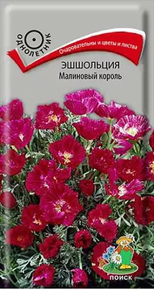Семена Эшшольция Малиновый король. Красивое растение с ярко-розовыми соцветиями. Многолетнее растение до 40 см высотой, используемое как однолетнее. Стебель прямой, тонкий, с многочисленными ребристыми серо-зелёными, голыми побегами. Цветки одиночные, чашевидной формы, 5 см в диаметре. Цветет обильно с июля по октябрь. Используют для клумб, рабаток, каменистых горок. <br>
Агротехника. Растение светолюбивое, холодо- и засухоустойчивое, предпочитает легкие дренированные почвы. Посев проводят в мае на постоянное место. Глубина заделки семян 0,5-1 см. При температуре почвы +15-18°С всходы появляются на 8-10 день. Сеянцы прореживают, выдерживая расстояние между растениями 10-12 см. Пересадки не переносят.